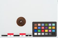 Foto von Bernsteinringperle (NHMW-PRAE-023981)